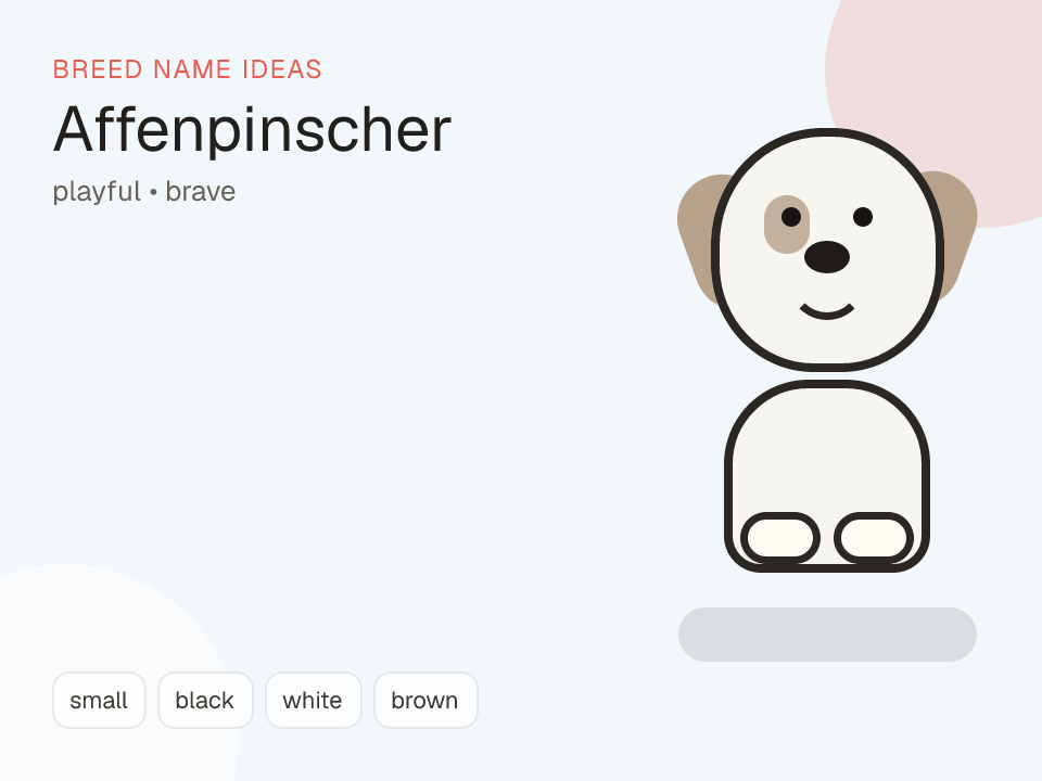 Affenpinscher dog name generator visual