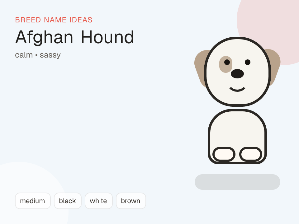 Afghan Hound dog name generator visual