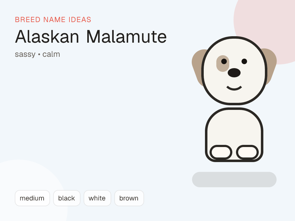Alaskan Malamute dog name generator visual