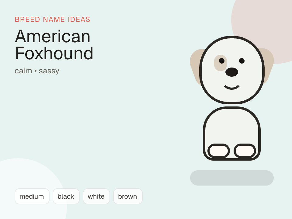 American Foxhound dog name generator visual