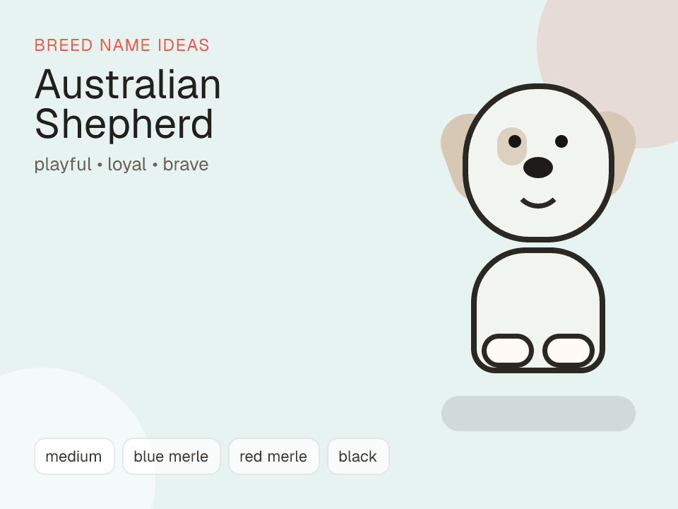 Australian Shepherd dog name generator visual