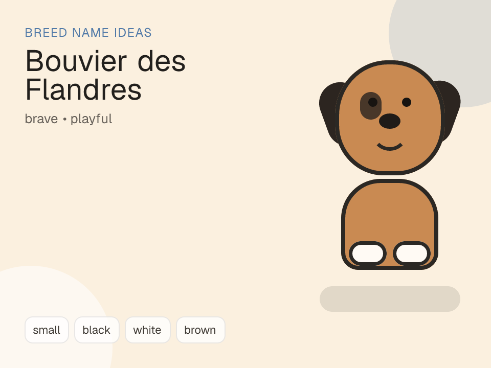 Bouvier des Flandres dog name generator visual