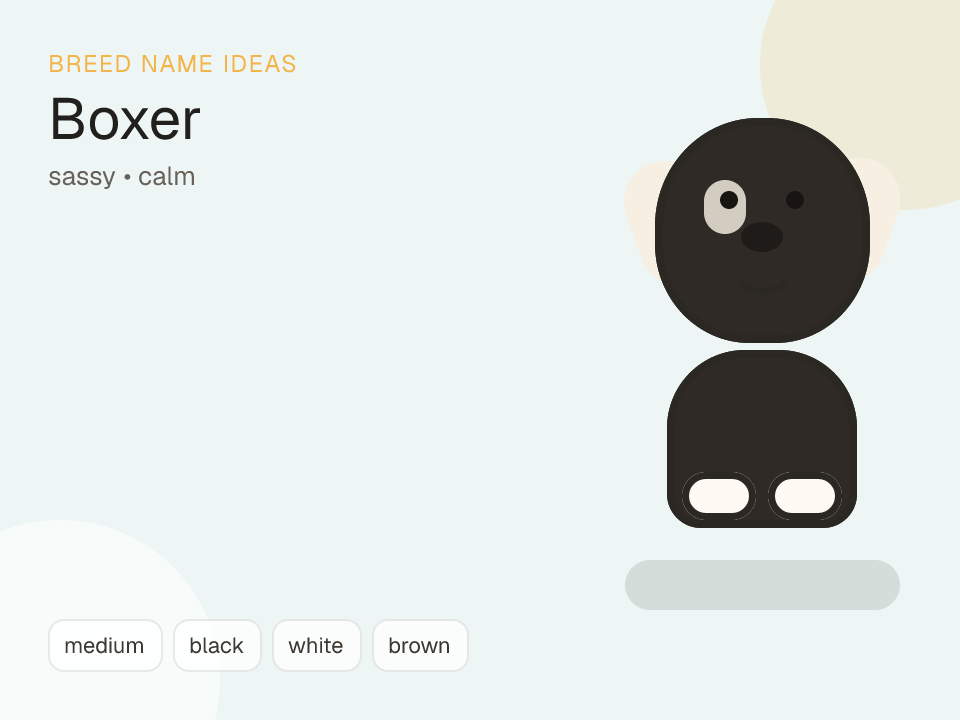 Boxer dog name generator visual