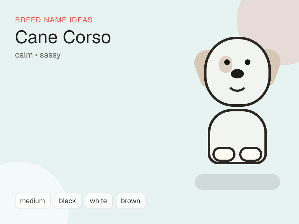 Cane Corso dog name generator visual