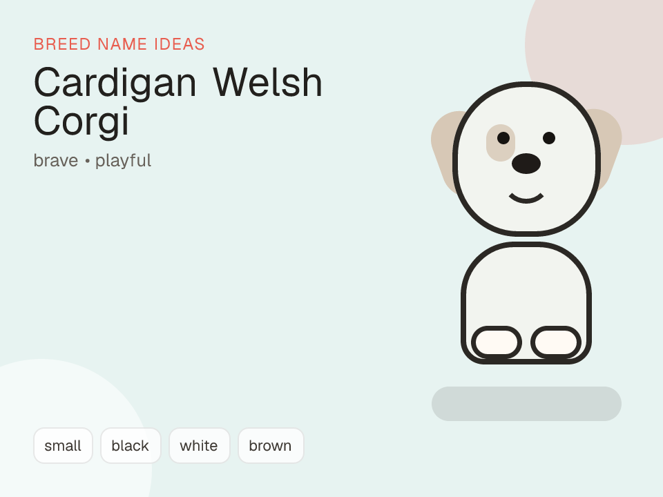 Cardigan Welsh Corgi dog name generator visual