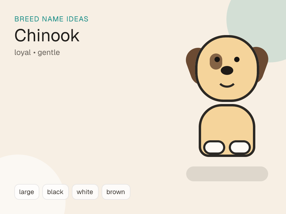 Chinook dog name generator visual