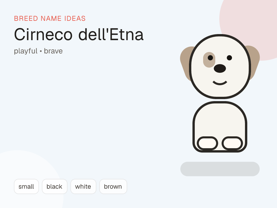 Cirneco dell'Etna dog name generator visual
