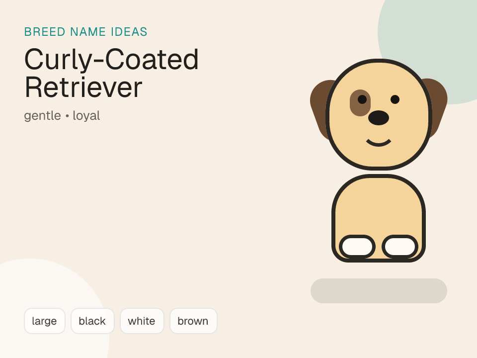 Curly-Coated Retriever dog name generator visual