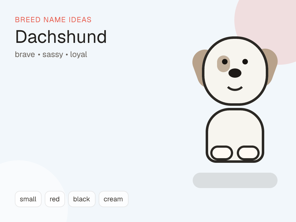 Dachshund dog name generator visual