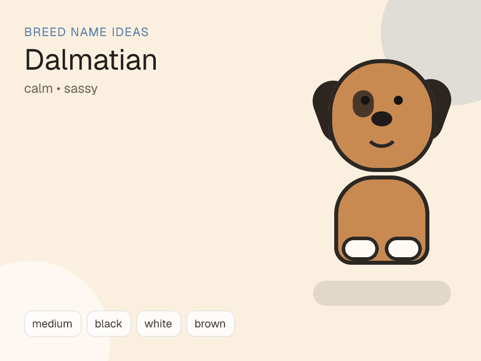 Dalmatian dog name generator visual