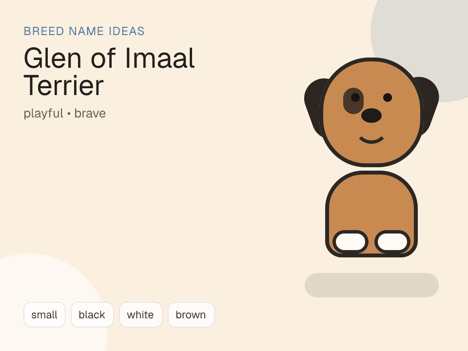 Glen of Imaal Terrier dog name generator visual