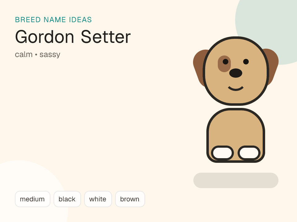 Gordon Setter dog name generator visual