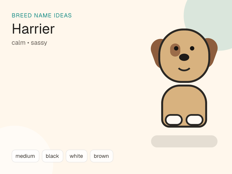 Harrier dog name generator visual