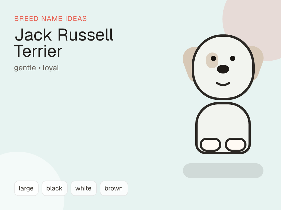 Jack Russell Terrier dog name generator visual