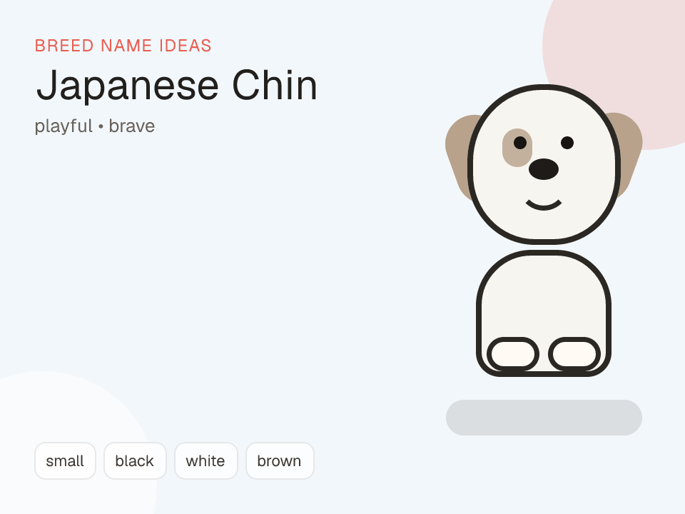 Japanese Chin dog name generator visual