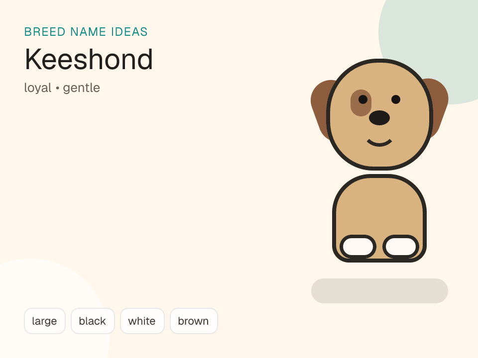Keeshond dog name generator visual