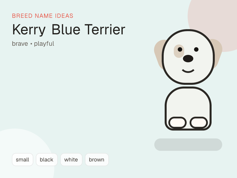 Kerry Blue Terrier dog name generator visual