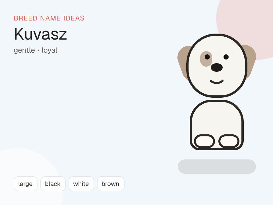 Kuvasz dog name generator visual
