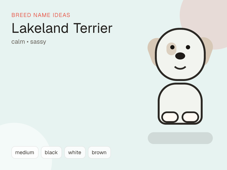 Lakeland Terrier dog name generator visual