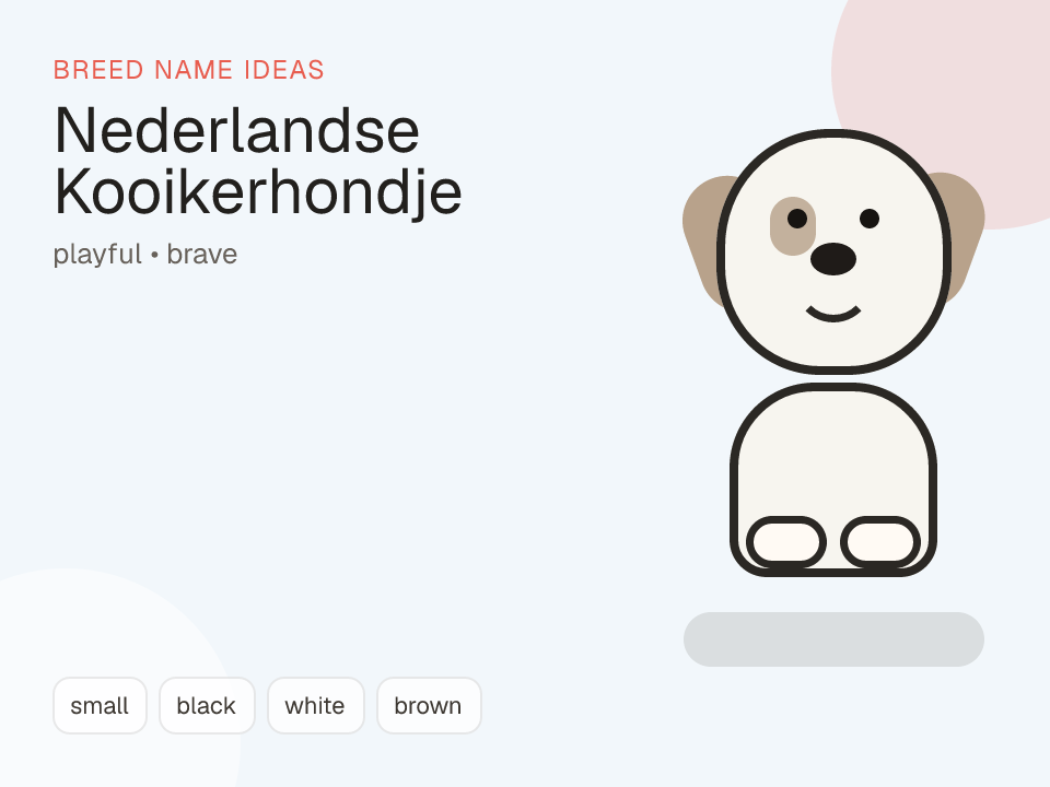 Nederlandse Kooikerhondje dog name generator visual