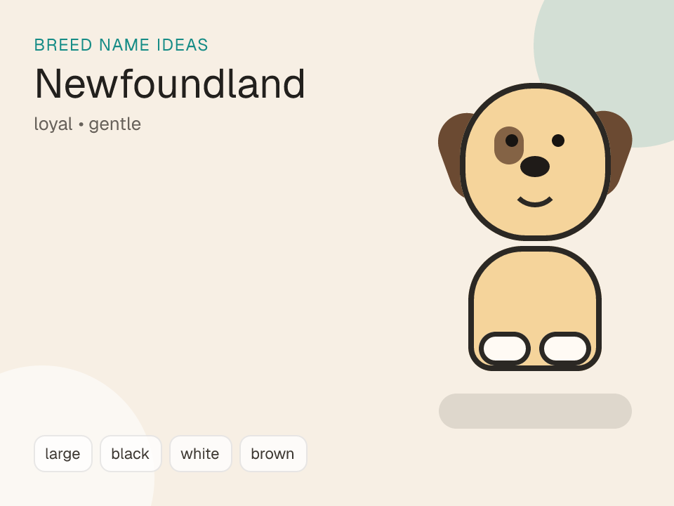 Newfoundland dog name generator visual