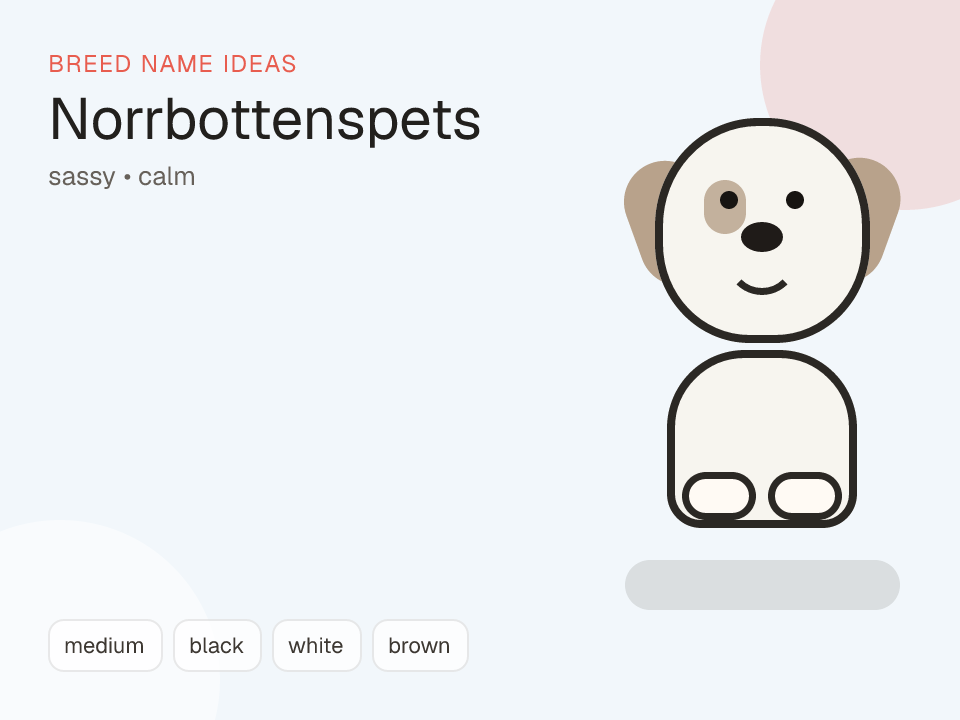 Norrbottenspets dog name generator visual