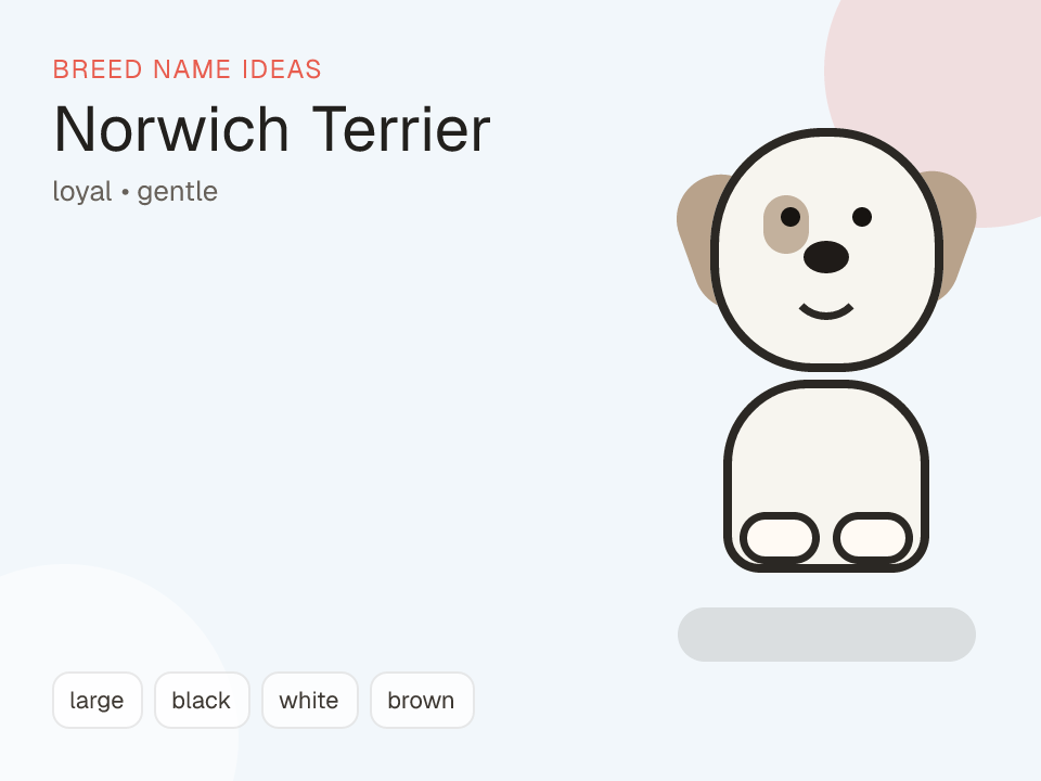 Norwich Terrier dog name generator visual