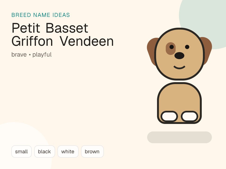 Petit Basset Griffon Vendeen dog name generator visual