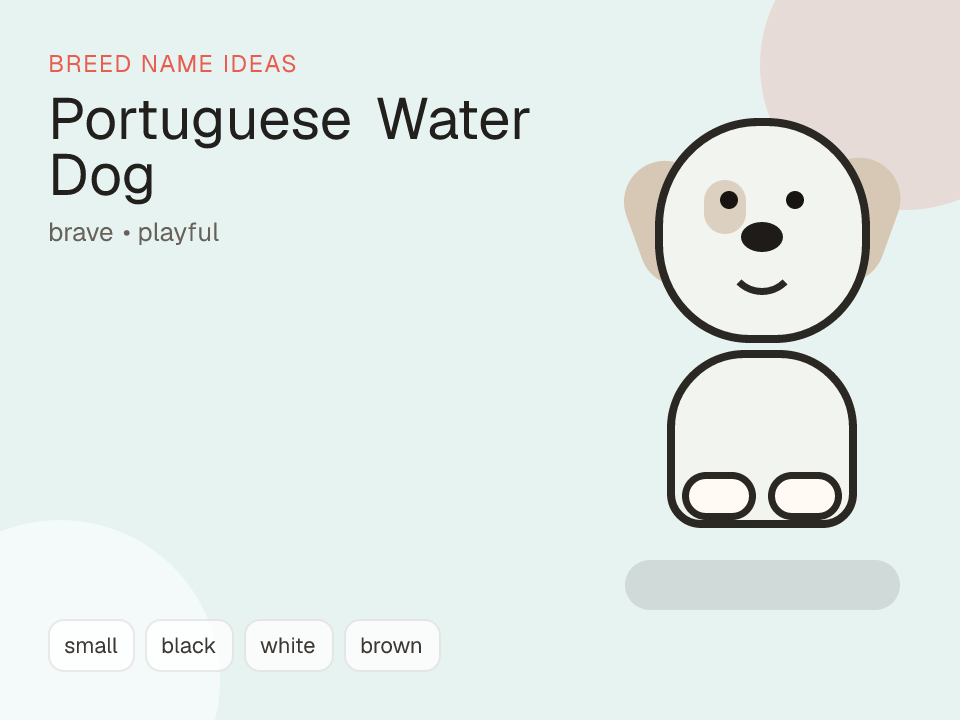 Portuguese Water Dog dog name generator visual