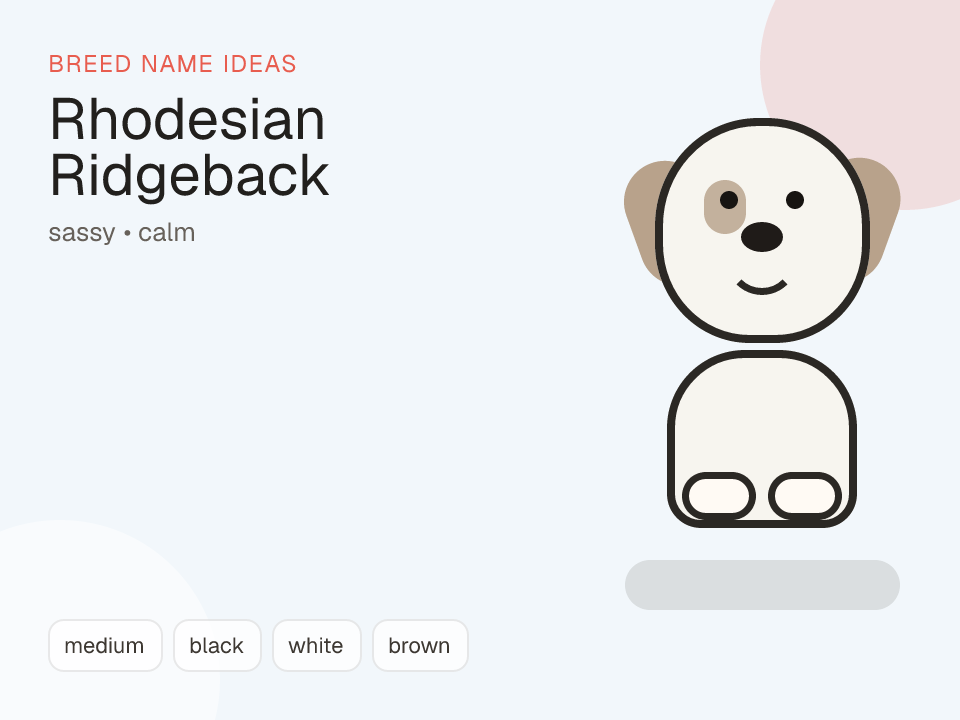Rhodesian Ridgeback dog name generator visual