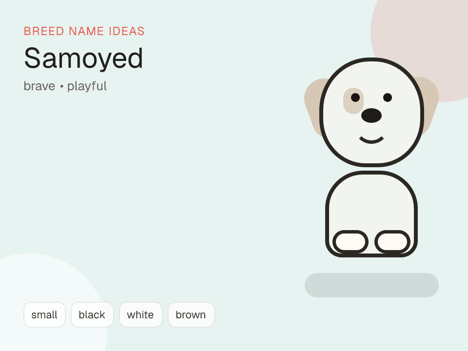 Samoyed dog name generator visual
