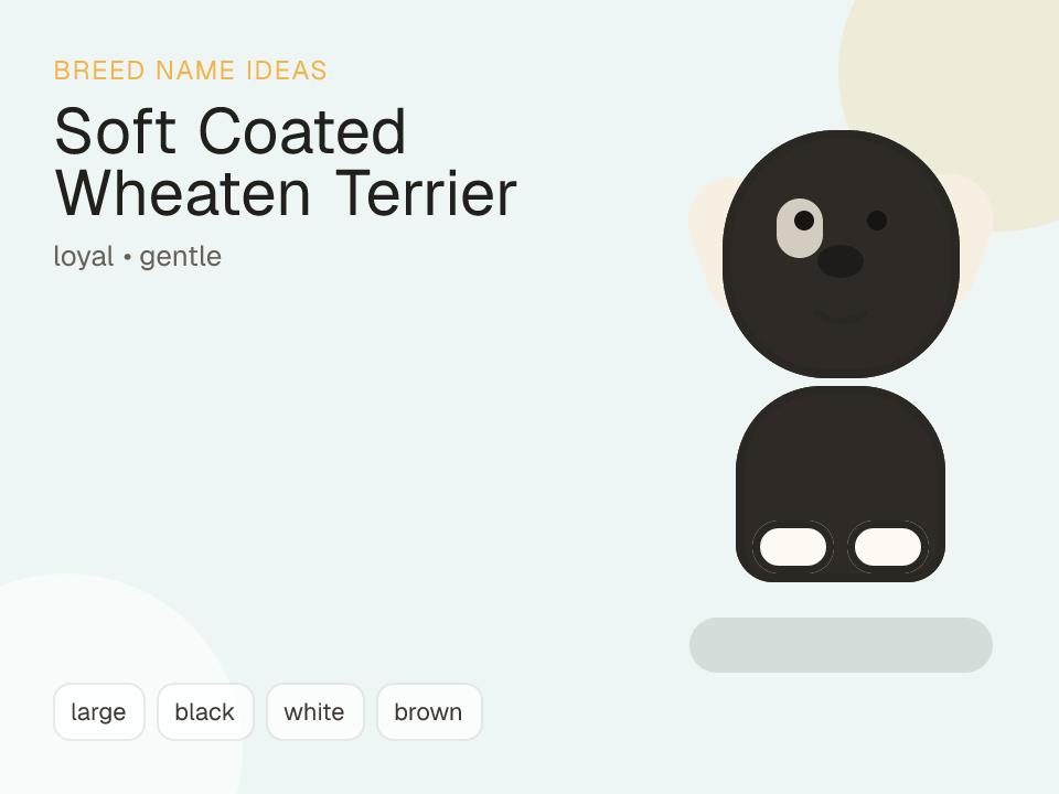 Soft Coated Wheaten Terrier dog name generator visual