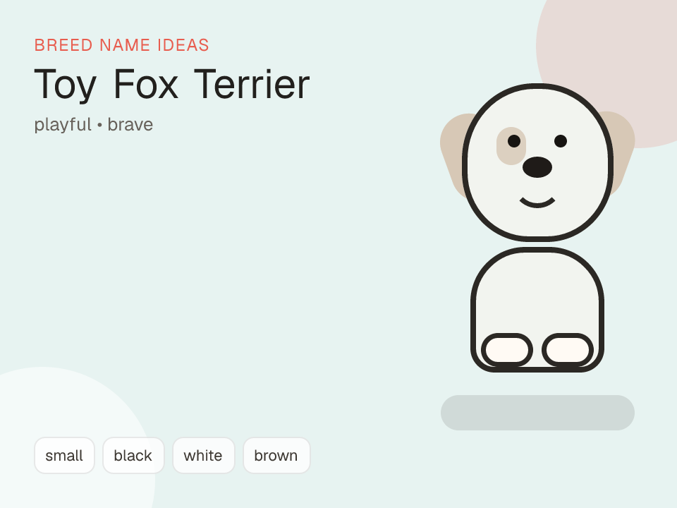Toy Fox Terrier dog name generator visual